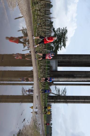 P1134338